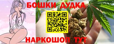 ешки Будённовск