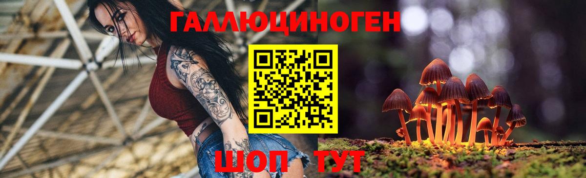Галлюциногенные грибы ЛСД Советская Гавань